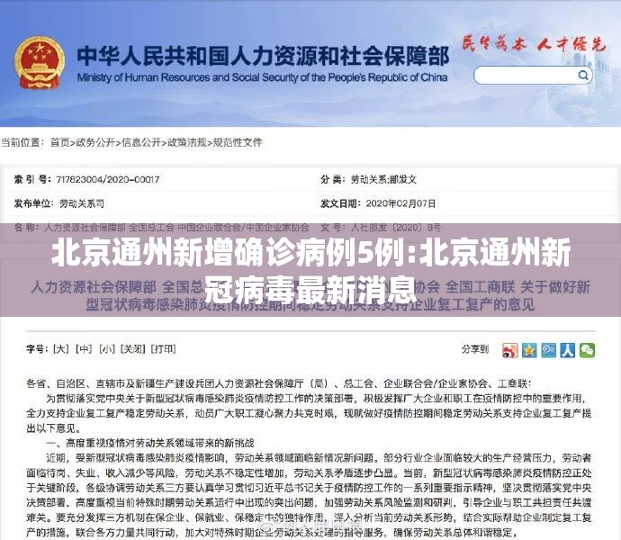 北京通州新增确诊病例5例:北京通州新冠病毒最新消息