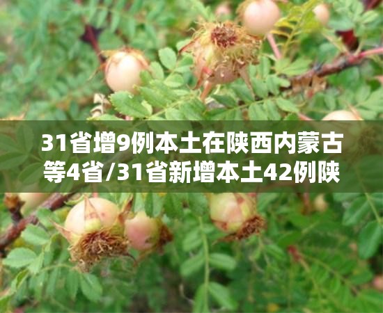 31省增9例本土在陕西内蒙古等4省/31省新增本土42例陕西