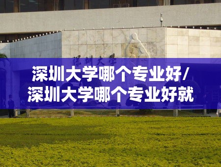深圳大学哪个专业好/深圳大学哪个专业好就业