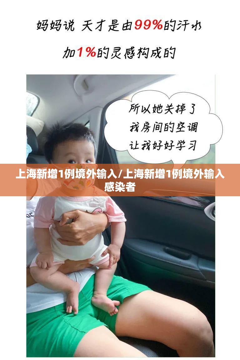 上海新增1例境外输入/上海新增1例境外输入感染者