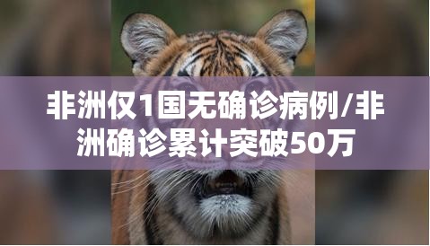 非洲仅1国无确诊病例/非洲确诊累计突破50万