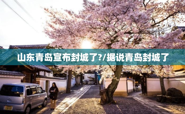 山东青岛宣布封城了?/据说青岛封城了