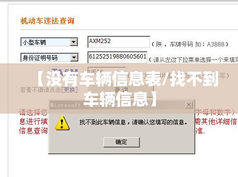 【没有车辆信息表/找不到车辆信息】