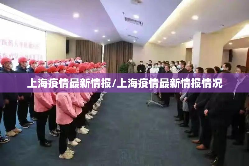 上海疫情最新情报/上海疫情最新情报情况