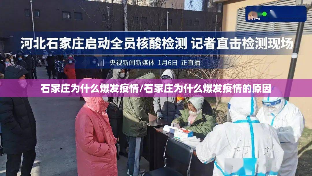 石家庄为什么爆发疫情/石家庄为什么爆发疫情的原因