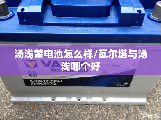 汤浅蓄电池怎么样/瓦尔塔与汤浅哪个好