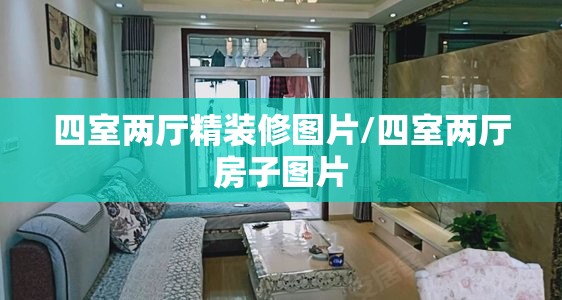 四室两厅精装修图片/四室两厅房子图片