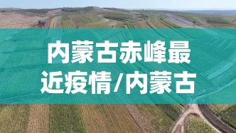 内蒙古赤峰最近疫情/内蒙古赤峰役情