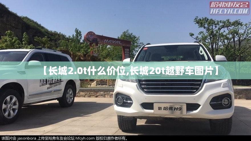 【长城2.0t什么价位,长城20t越野车图片】