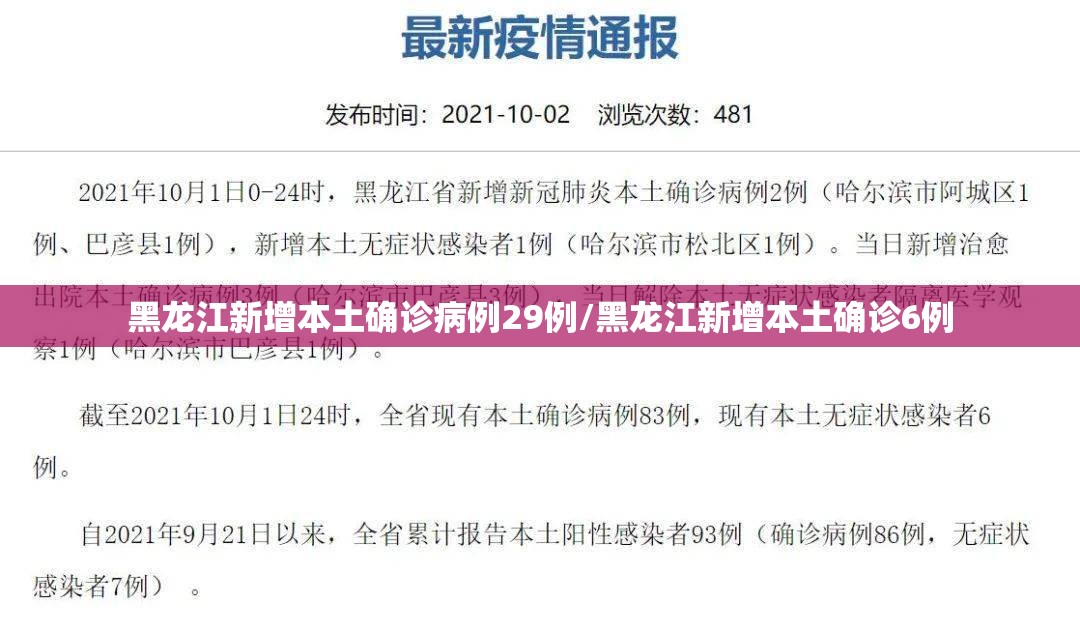 黑龙江新增本土确诊病例29例/黑龙江新增本土确诊6例 黑龙江新增本土确诊病例29例/黑龙江新增本土确诊6例