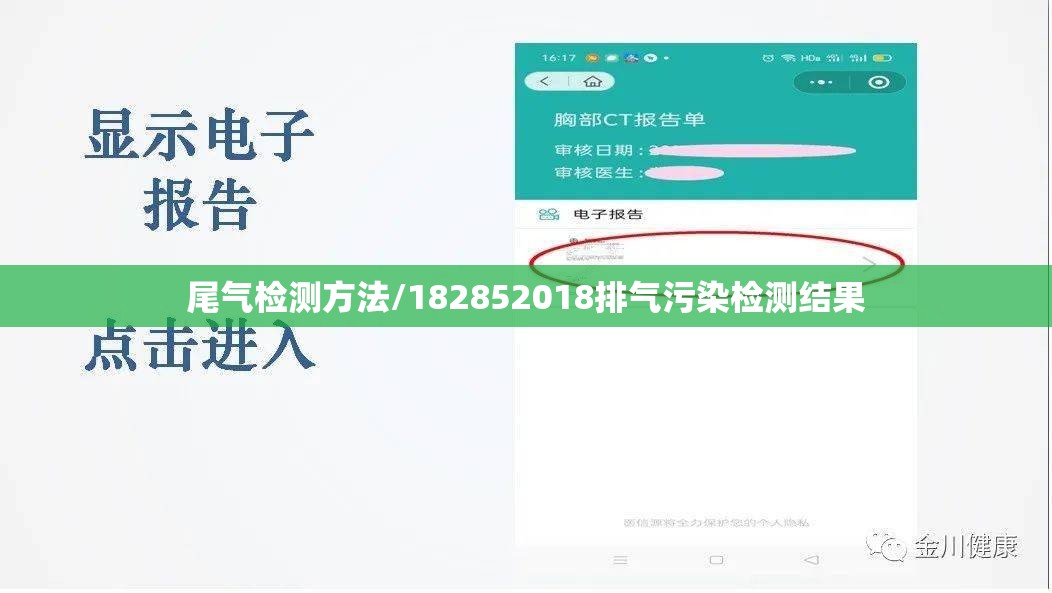 尾气检测方法/182852018排气污染检测结果
