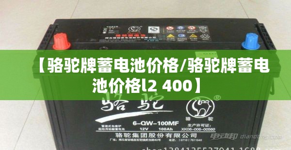 【骆驼牌蓄电池价格/骆驼牌蓄电池价格l2 400】