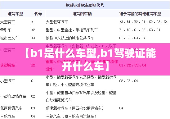 【b1是什么车型,b1驾驶证能开什么车】