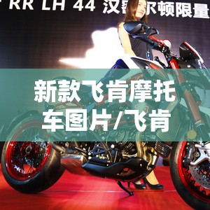 新款飞肯摩托车图片/飞肯摩托车配置怎么样 新款飞肯摩托车图片/飞肯摩托车配置怎么样