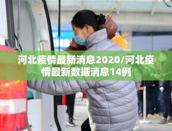 河北疫情最新消息2020/河北疫情最新数据消息14例 河北疫情最新消息2020/河北疫情最新数据消息14例