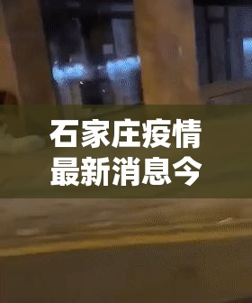 石家庄疫情最新消息今天封城了(石家庄疫情封城情况) 石家庄疫情最新消息今天封城了(石家庄疫情封城情况)