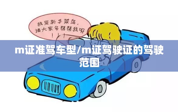 m证准驾车型/m证驾驶证的驾驶范围