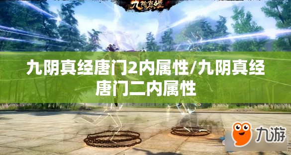 九阴真经唐门2内属性/九阴真经唐门二内属性