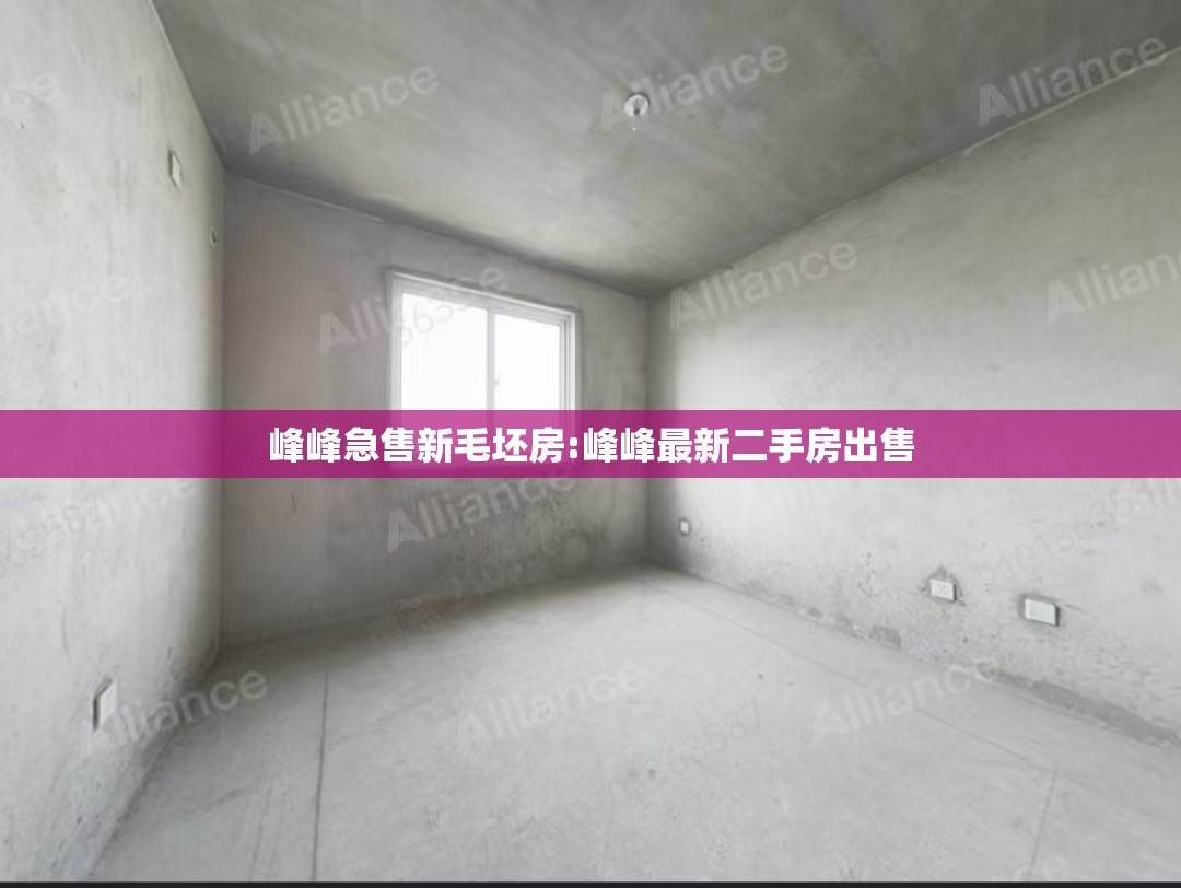 峰峰急售新毛坯房:峰峰最新二手房出售