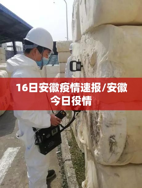 16日安徽疫情速报/安徽今日役情