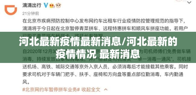 河北最新疫情最新消息/河北最新的疫情情况 最新消息 河北最新疫情最新消息/河北最新的疫情情况 最新消息
