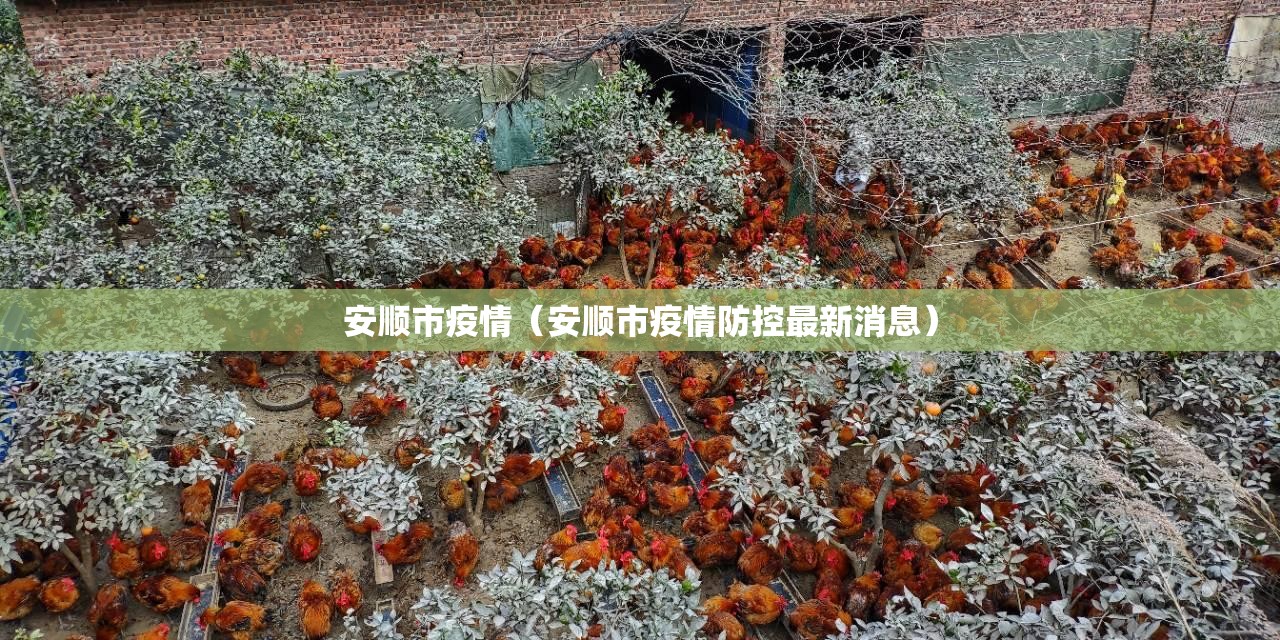 安顺市疫情(安顺市疫情防控最新消息) 安顺市疫情(安顺市疫情防控最新消息)