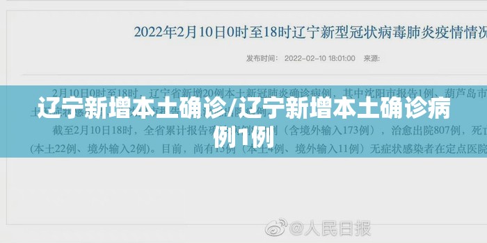 辽宁新增本土确诊/辽宁新增本土确诊病例1例