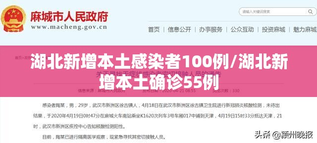 湖北新增本土感染者100例/湖北新增本土确诊55例 湖北新增本土感染者100例/湖北新增本土确诊55例