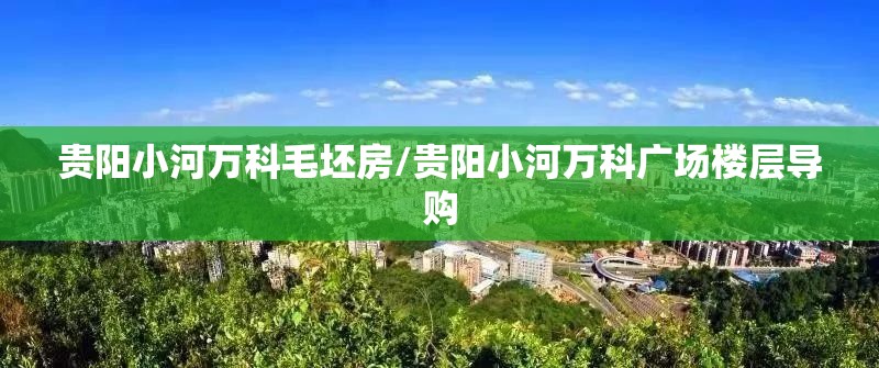贵阳小河万科毛坯房/贵阳小河万科广场楼层导购