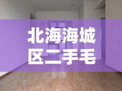 北海海城区二手毛坯房:北海海城二手房安居客
