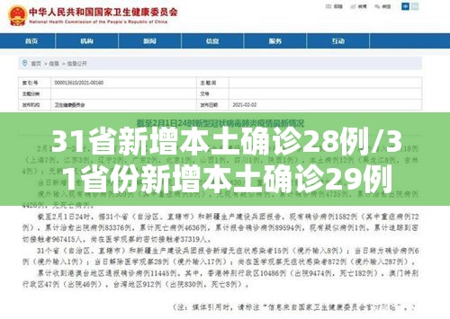 31省新增本土确诊28例/31省份新增本土确诊29例