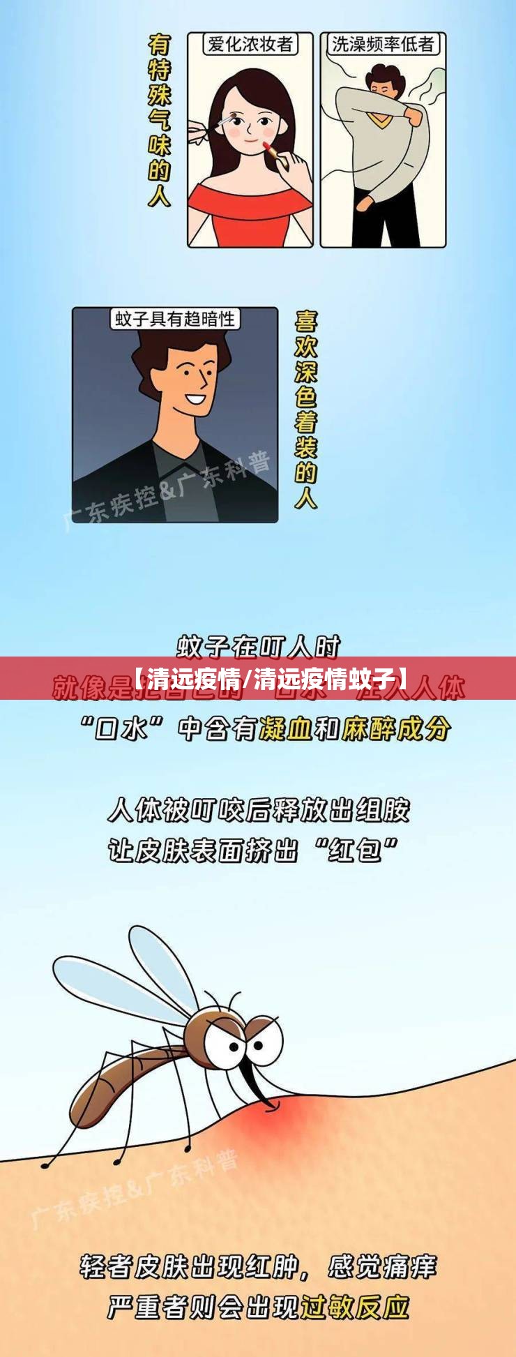 【清远疫情/清远疫情蚊子】 【清远疫情/清远疫情蚊子】