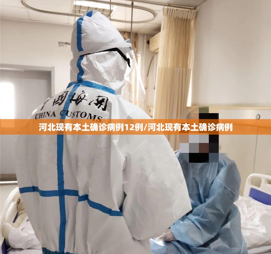 河北现有本土确诊病例12例/河北现有本土确诊病例