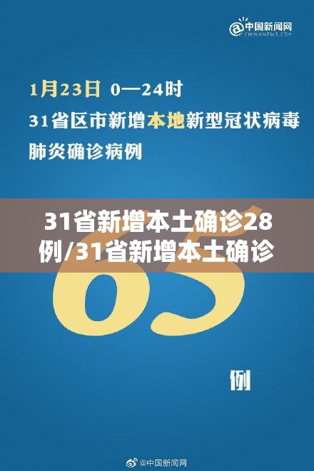 31省新增本土确诊28例/31省新增本土确诊病例1例