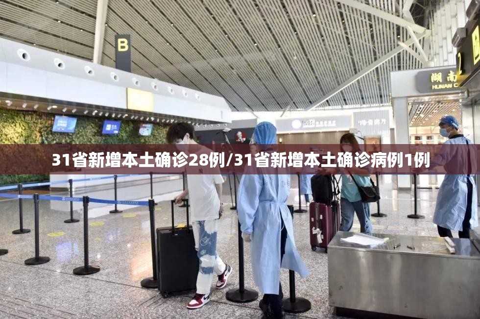 31省新增本土确诊28例/31省新增本土确诊病例1例