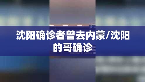 沈阳确诊者曾去内蒙/沈阳的哥确诊 沈阳确诊者曾去内蒙/沈阳的哥确诊