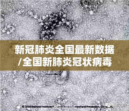 新冠肺炎全国最新数据/全国新肺炎冠状病毒最新数据 新冠肺炎全国最新数据/全国新肺炎冠状病毒最新数据