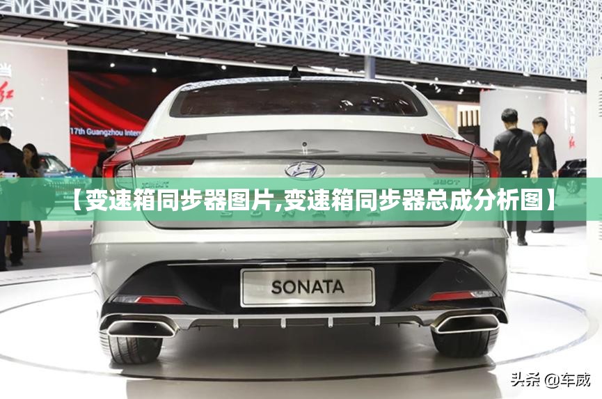 【变速箱同步器图片,变速箱同步器总成分析图】