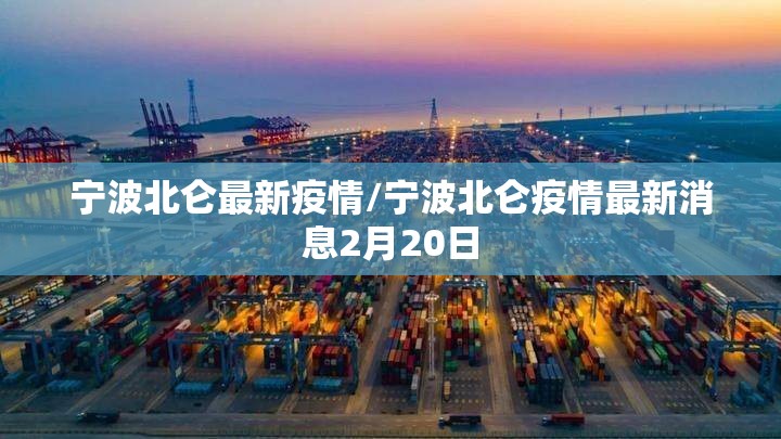 宁波北仑最新疫情/宁波北仑疫情最新消息2月20日