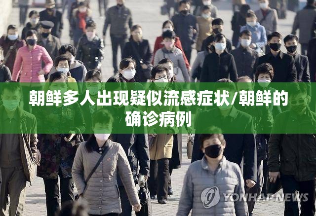 朝鲜多人出现疑似流感症状/朝鲜的确诊病例