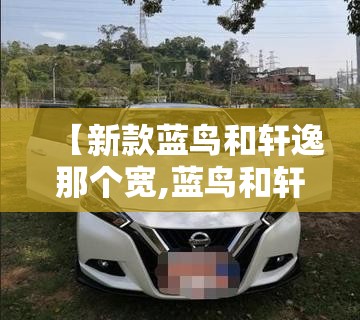 【新款蓝鸟和轩逸那个宽,蓝鸟和轩逸对比】