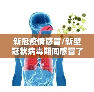 新冠疫情感冒/新型冠状病毒期间感冒了怎么办