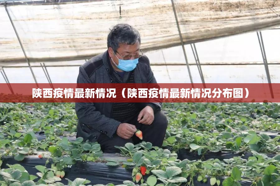 陕西疫情最新情况（陕西疫情最新情况分布图）