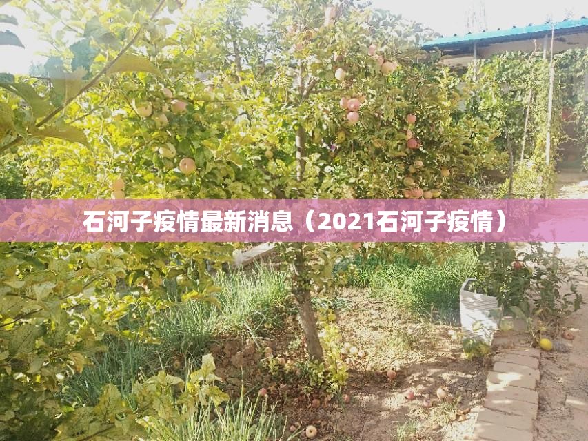 石河子疫情最新消息（2021石河子疫情）