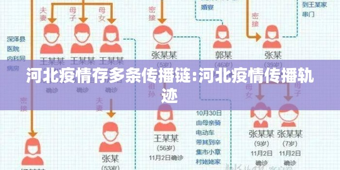 河北疫情存多条传播链:河北疫情传播轨迹 河北疫情存多条传播链:河北疫情传播轨迹