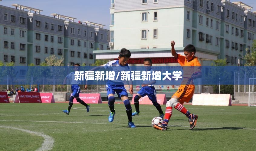 新疆新增/新疆新增大学 新疆新增/新疆新增大学