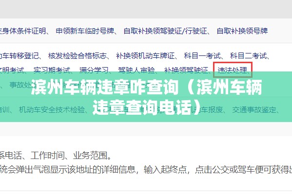 滨州车辆违章咋查询（滨州车辆违章查询电话）