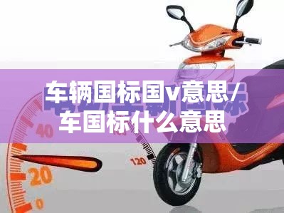 车辆国标国v意思/车国标什么意思