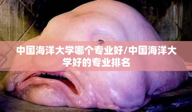 中国海洋大学哪个专业好/中国海洋大学好的专业排名