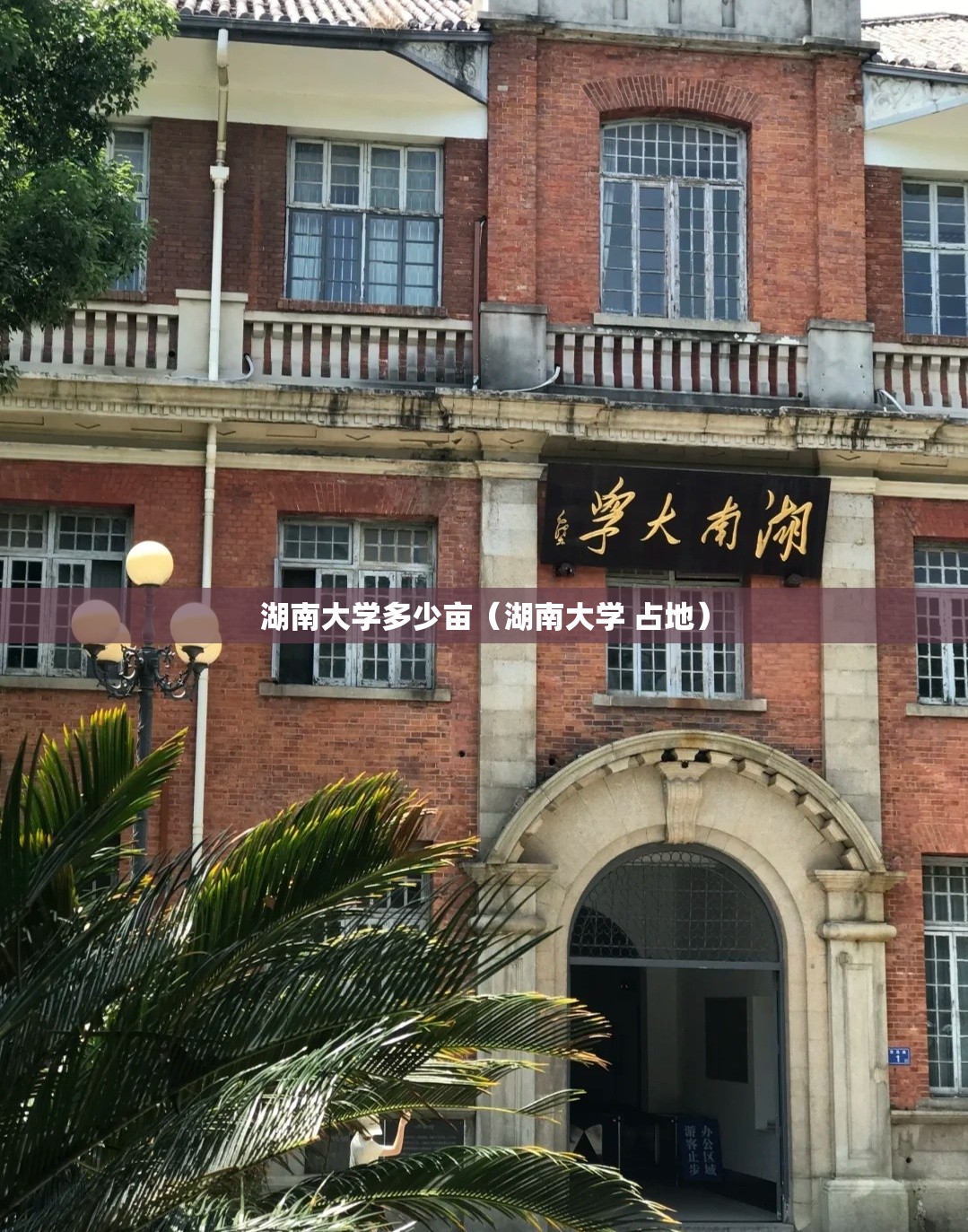 湖南大学多少亩（湖南大学 占地）